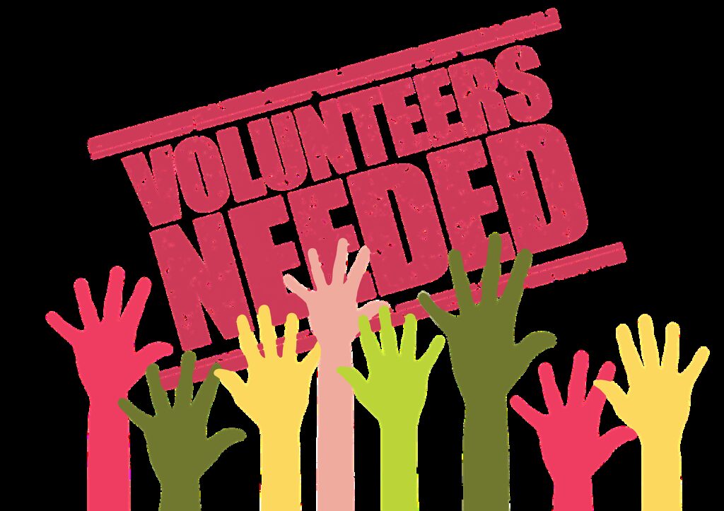 volunteers, search, application
